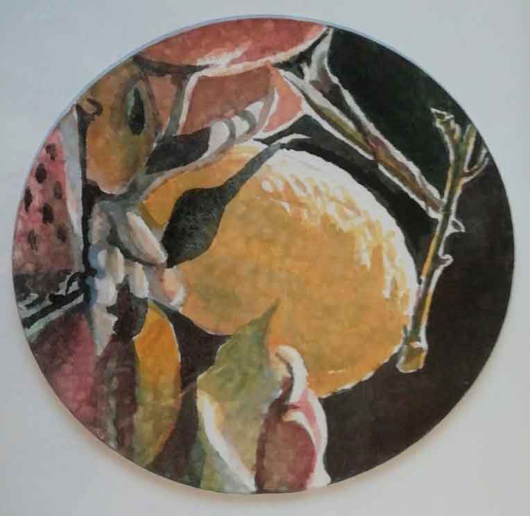 Limoni di Amalfi